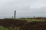 PICTURES/Ring of Brodgar, Standing Stones of Stennes & Maeshowe Cairn/t_Stones2.JPG